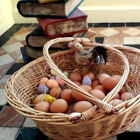 Guest house Newlands 4*