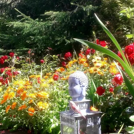 Newlands 4* Kilkenny