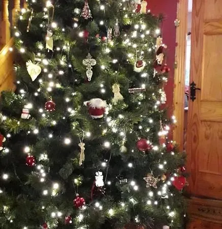 Newlands 4* Kilkenny