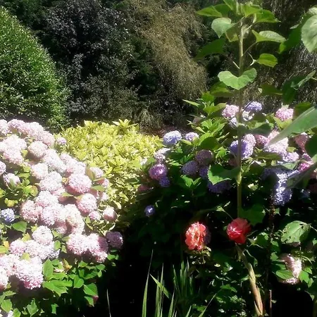 Newlands 4* Kilkenny