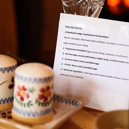 Newlands Guest house 4*