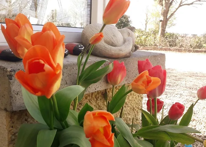 Newlands קילקני