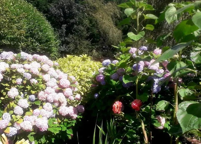 Newlands 4* קילקני